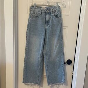Pacsun Nota Cropped Wide Leg Light Blue Jeans